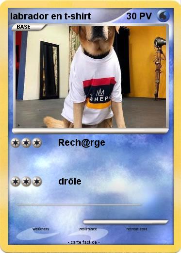 Pokemon labrador en t-shirt