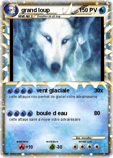 Pokemon grand loup