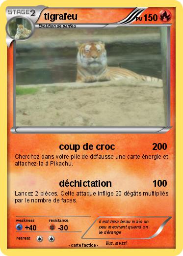 Pokemon tigrafeu