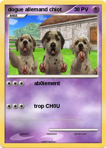 Pokemon dogue allemand chiot