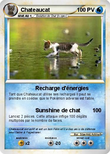 Pokemon Chateaucat