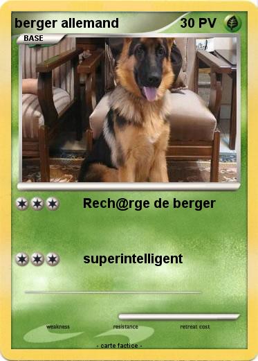 Pokemon berger allemand