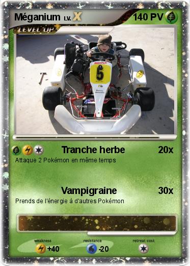 Pokemon Méganium
