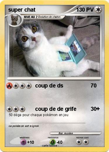 Pokemon super chat