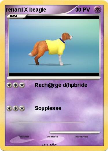Pokemon renard X beagle
