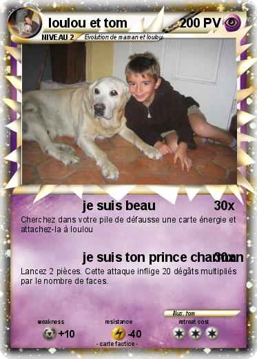 Pokemon loulou et tom