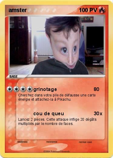 Pokemon amster