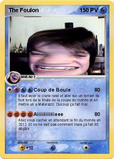 Pokemon The Foulon