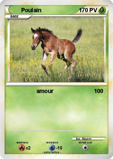 Pokemon Poulain