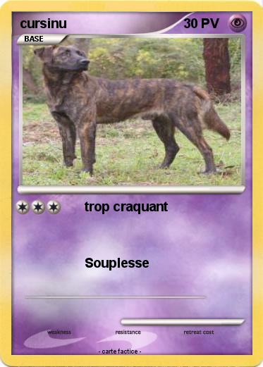 Pokemon cursinu