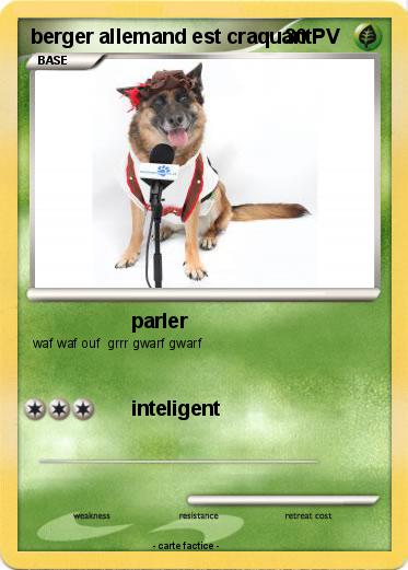 Pokemon berger allemand est craquant