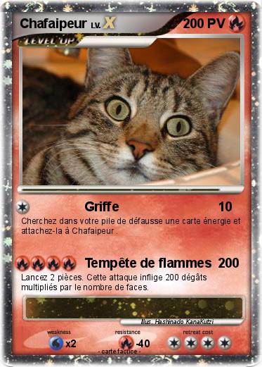 Pokemon Chafaipeur