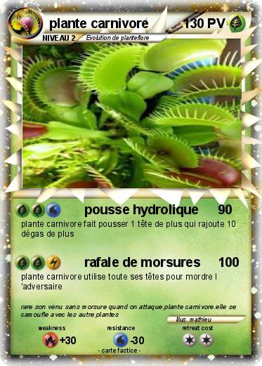 Pokemon plante carnivore