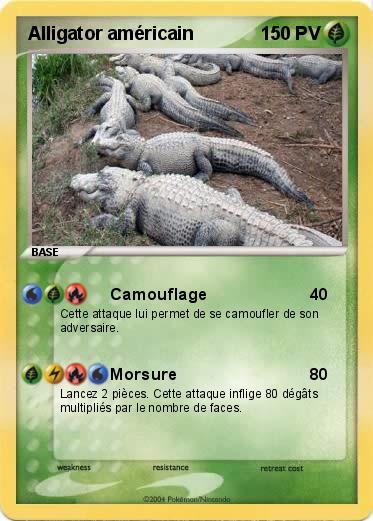 Pokemon Alligator américain