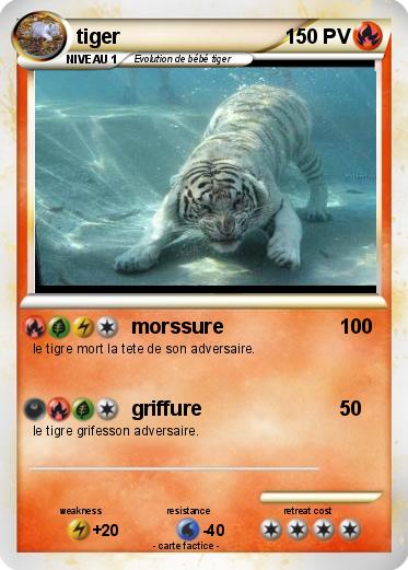 Pokemon tiger