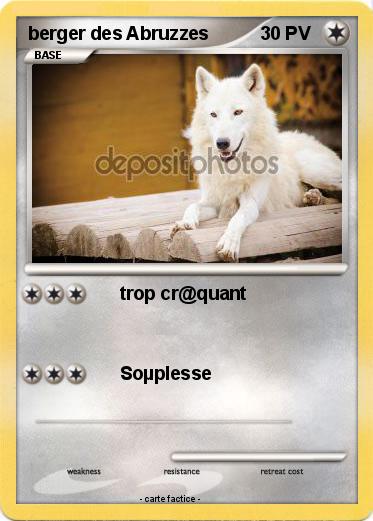 Pokemon berger des Abruzzes