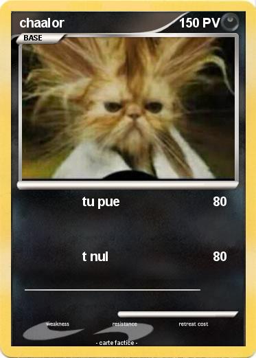 Pokemon chaalor