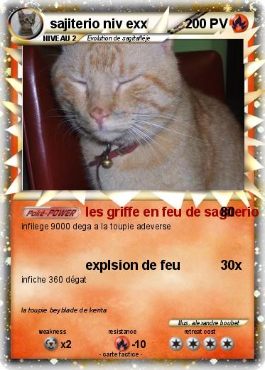 Pokemon sajiterio niv exx