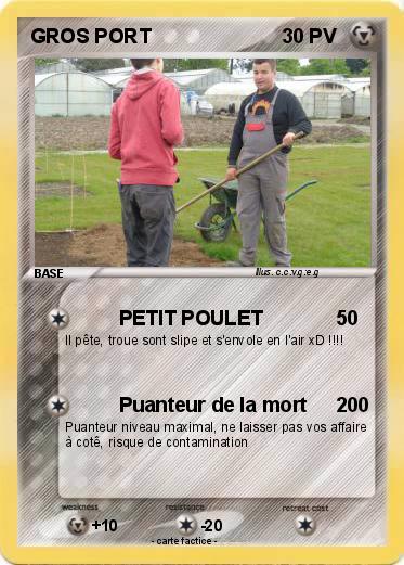 Pokemon GROS PORT