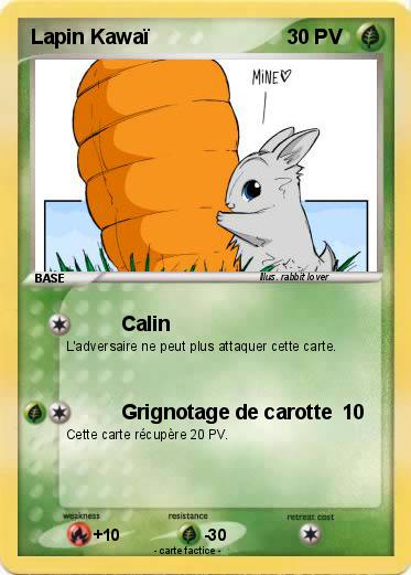 Pokemon Lapin Kawaï
