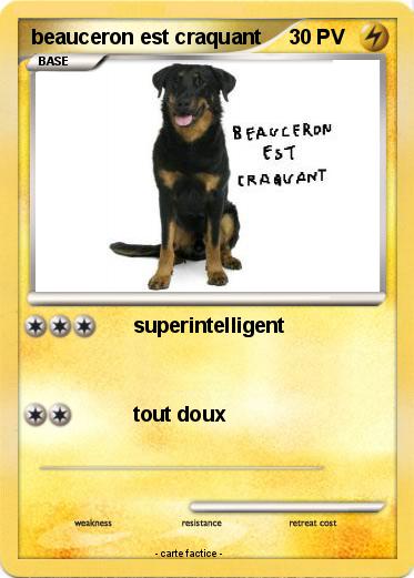 Pokemon beauceron est craquant