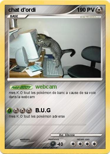Pokemon chat d'ordi