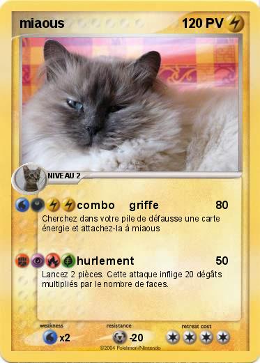 Pokemon miaous