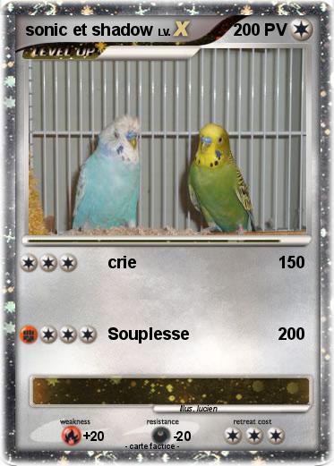 Pokemon sonic et shadow