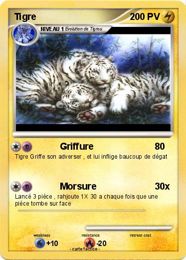 Pokemon Tigre