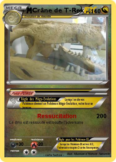 Pokemon Crâne de T-Rex