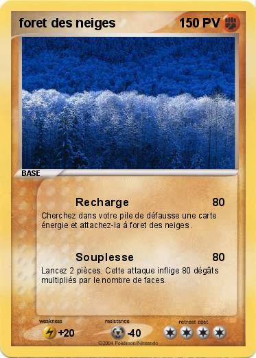 Pokemon foret des neiges