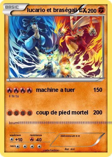 Pokemon lucario et braségali EX
