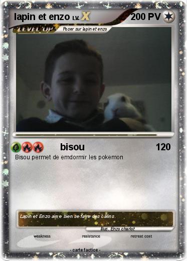 Pokemon lapin et enzo