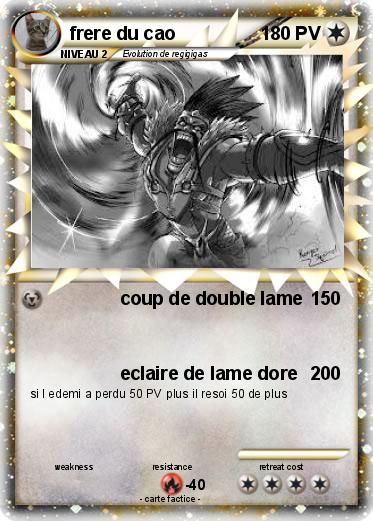 Pokemon frere du cao