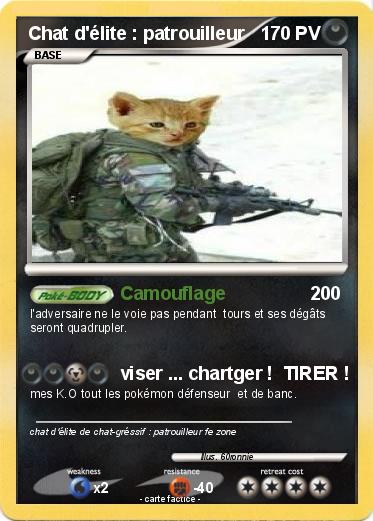 Pokemon Chat d'élite : patrouilleur