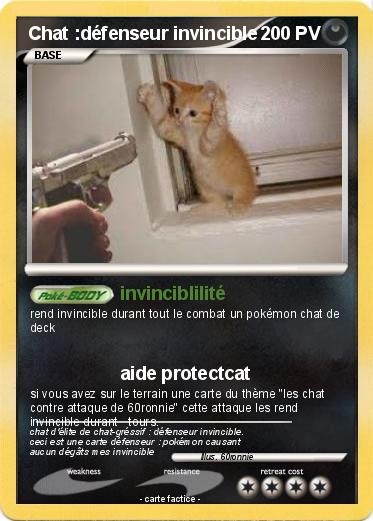 Pokemon Chat :défenseur invincible
