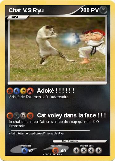 Pokemon Chat V.S Ryu