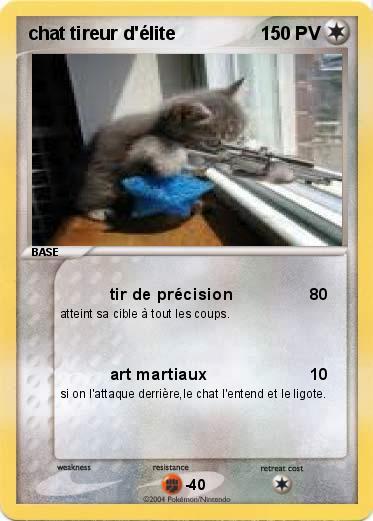 Pokemon chat tireur d'élite