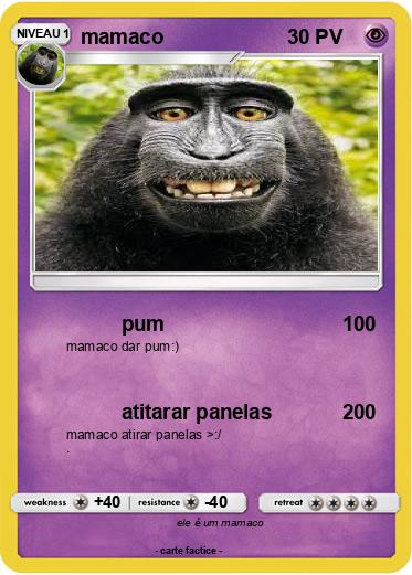 Pokemon mamaco
