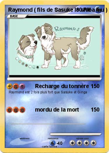 Pokemon Raymond ( fils de Sasuke le shiba inu )