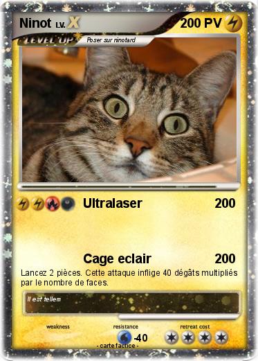Pokemon Ninot