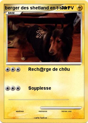 Pokemon berger des shetland en t-shirt