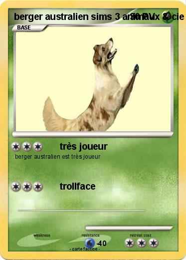 Pokemon berger australien sims 3 animaux & cie