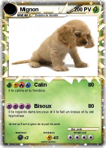 Pokemon Mignon