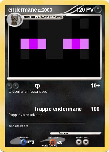 Pokemon endermane