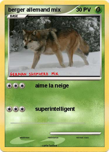 Pokemon berger allemand mix