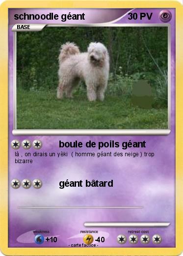 Pokemon schnoodle géant