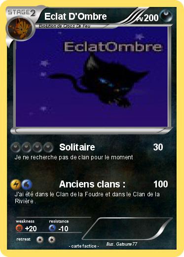 Pokemon Eclat D'Ombre