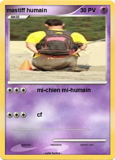 Pokemon mastiff humain