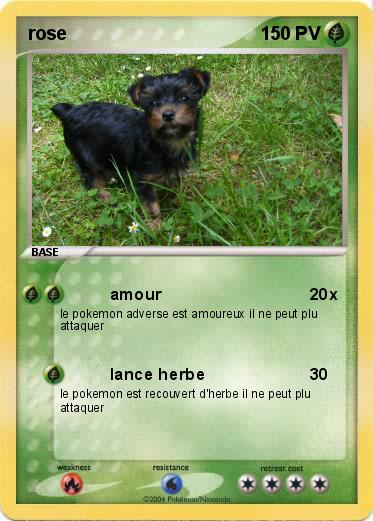 Pokemon rose